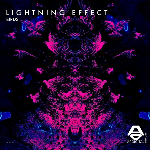 Lightning Effect - Birds [ARD032]